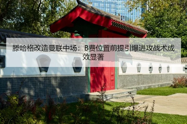 teng-ha-ge-gai-zao-man-lian-zhong-chang-fei-wei-zhi-qian-ti-yin-bao-jin-gong-zhan-shu-cheng-xiao-xian-zhu-2-257.jpg