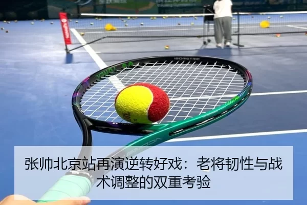 zhang-shuai-bei-jing-zhan-zai-yan-ni-zhuan-hao-xi-lao-jiang-ren-xing-yu-zhan-shu-tiao-zheng-de-shuang-chong-kao-yan-2-310.jpg